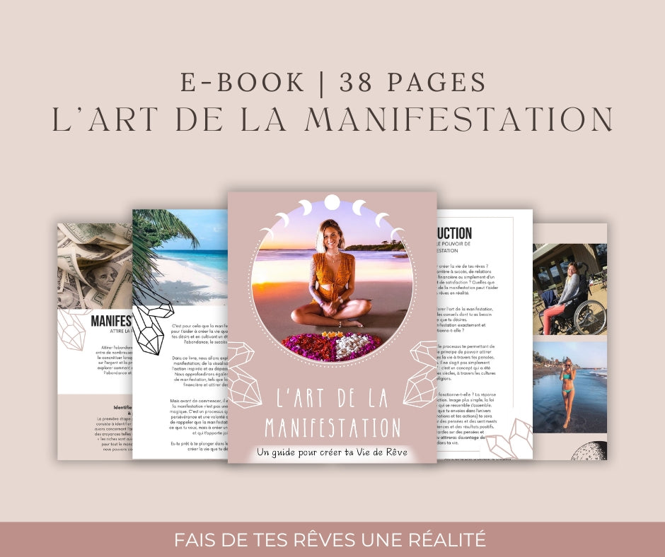E-book "L'ART DE LA MANIFESTATION" FR
